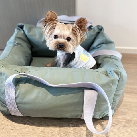 Hond Auto Kussen - Bescherming En Zachtheid Onderweg