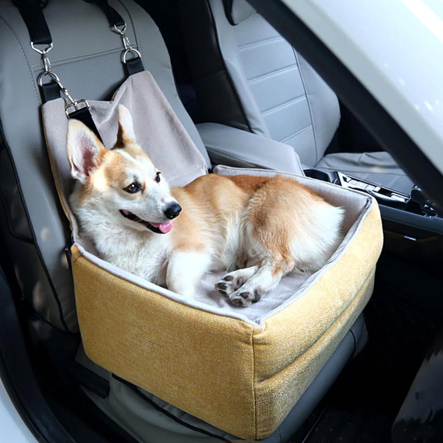 Transportkussen Voor Honden – Comfort En Veiligheid In De Auto