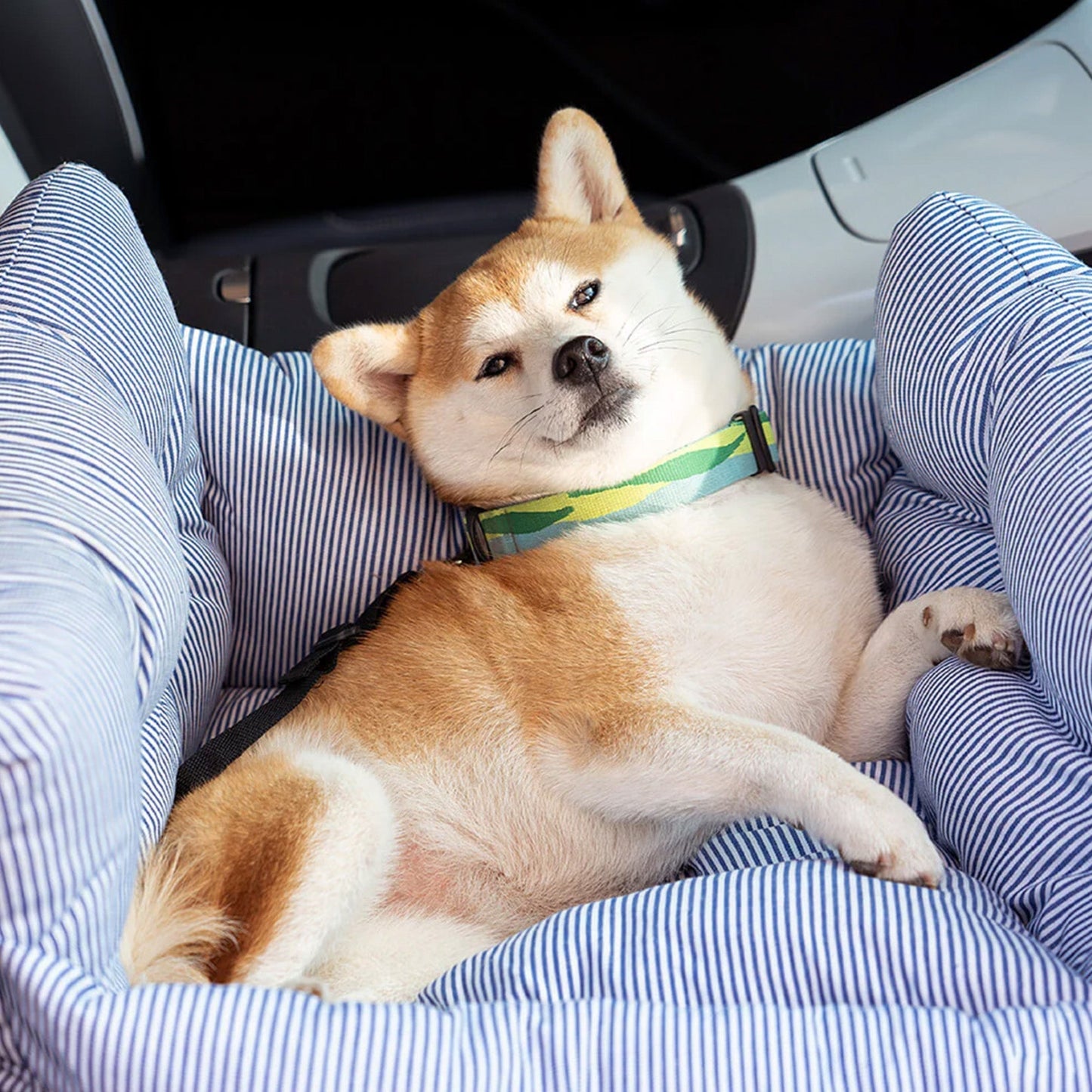 Seggiolino Auto Per Cani – Comfort Ottimale In Viaggio