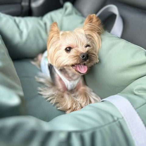 Hond Auto Kussen - Bescherming En Zachtheid Onderweg