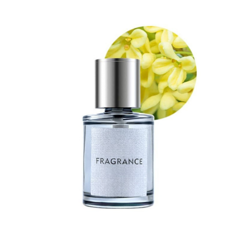 معطر هواء للسيارة - رائحة وأسلوب