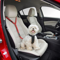 Attache De Sécurité Réglable Pour Chien – Spéciale Voiture