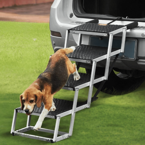 Bilrampe for hund – Sammenleggbar, lett og trygg 