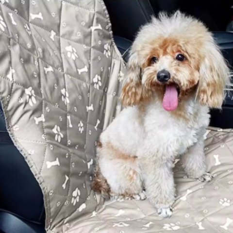Pet Seat Cover – Comfort and Protection in the Car 