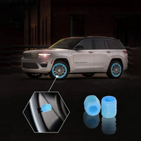 Shiny Valve Caps – Visibility and Safety 