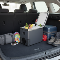 Mini Refrigerator & Car Food Warmer — 2 In 1 Practical 