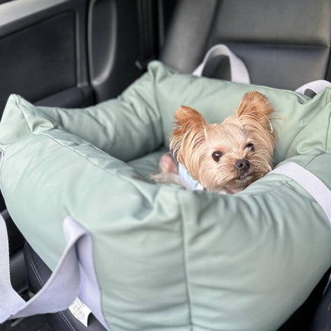 Coussin De Voiture Pour Chien – Protection Et Douceur En Route