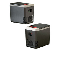 Mini Lodówka Przenośna Do Samochodu – Kompaktowa I Praktyczna 