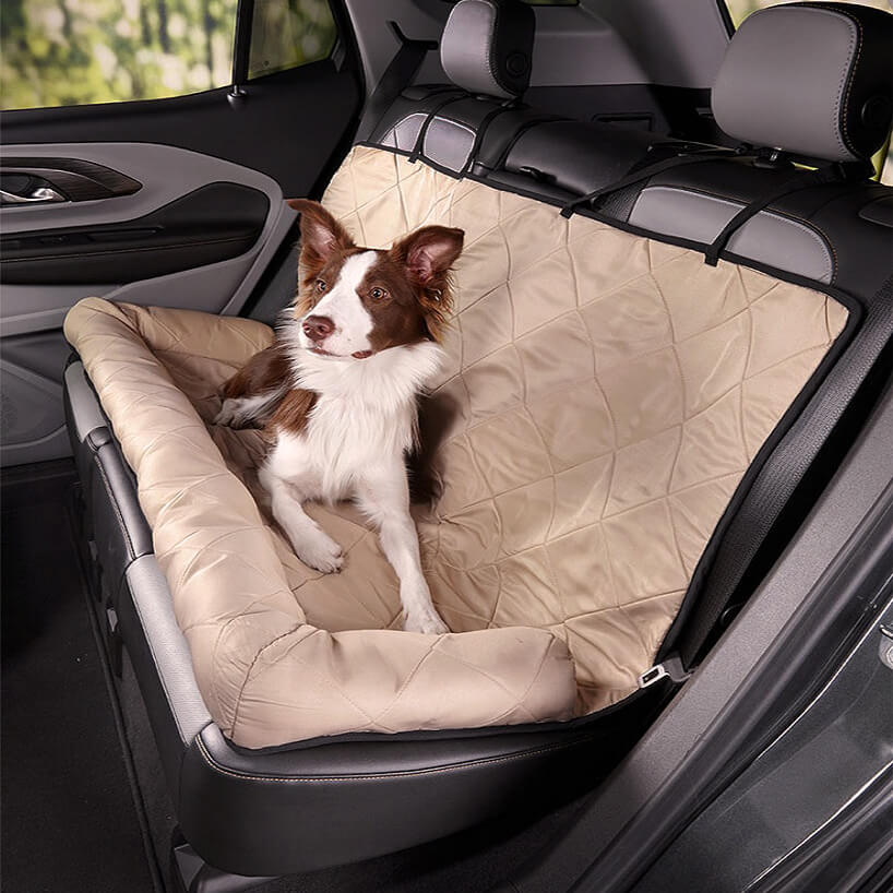 Siège Auto Pour Chien — Voyagez Ensemble En Toute Sécurité